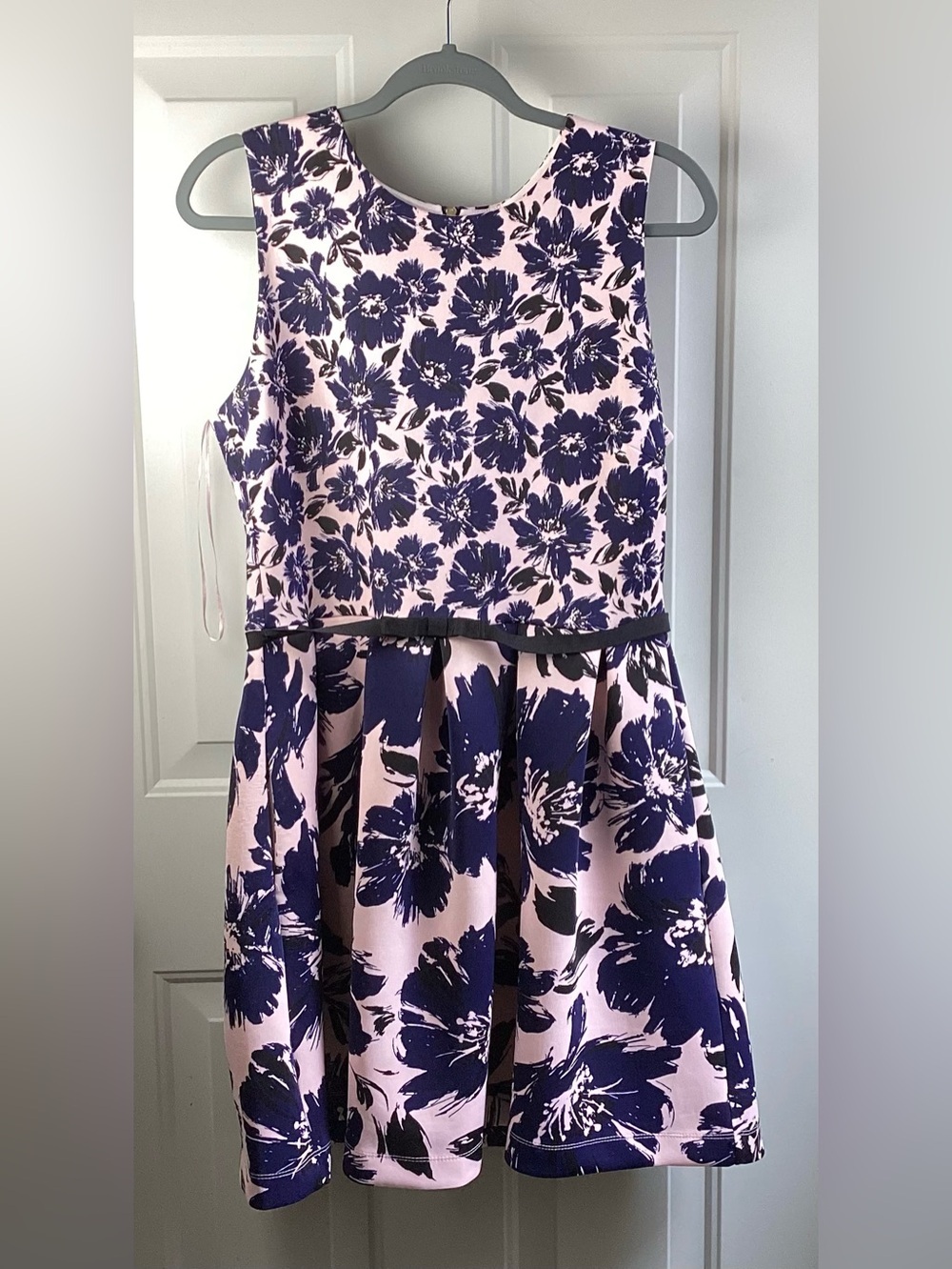 Sleeveless Pink & Navy Floral Fit-and-Flare Mini Dress